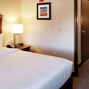 One-Bedroom King Suite